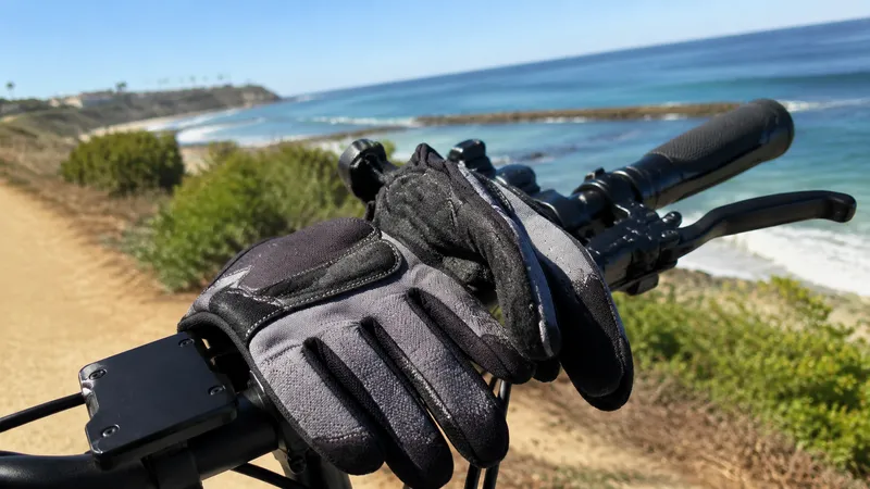 Gloves